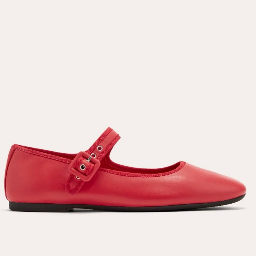 Everlane The Day Buckle Mary Jane